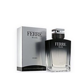 Tualettvesi Gianfranco Ferre Ferre Black EDT meestele 30 ml hind ja info | Gianfranco Ferré Kosmeetika, parfüümid | kaup24.ee