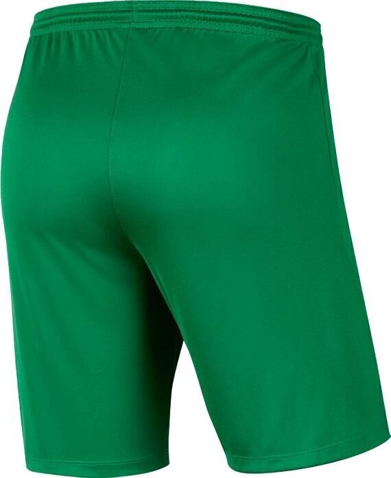 Lühikesed püksid poistele Nike, roheline hind ja info | Poiste lühikesed püksid | kaup24.ee