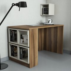 Письменный стол Kalune Design 845 (I), коричневый/бежевый цена и информация | Компьютерные, письменные столы | kaup24.ee