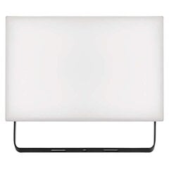 LED prožektor TAMBO 30W(260W) 2400 lm NW цена и информация | Фонарики, прожекторы | kaup24.ee