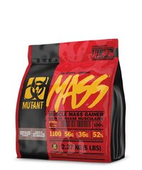 Mutant Mass (2270g) Chocolate Fudge Brownie massilisaja hind ja info | Massilisajad | kaup24.ee