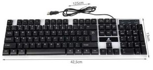 K12540 LED цена и информация | Клавиатура с игровой мышью 3GO COMBODRILEW2 USB ES | kaup24.ee