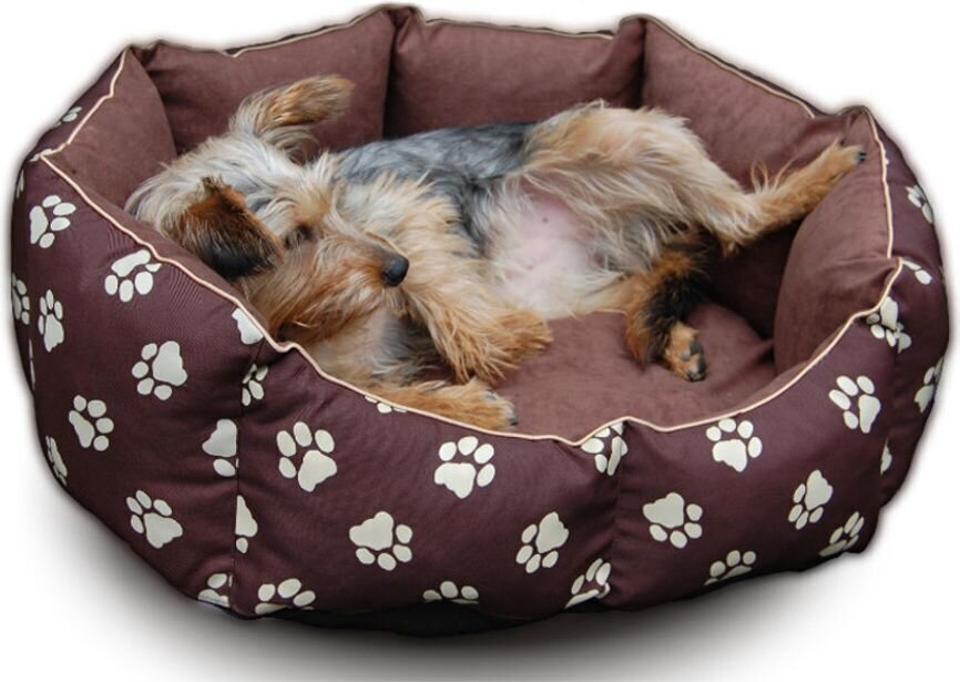 Koera pesa Hobbydog New York, M, Red Square, 50x40 cm hind ja info | Pesad, padjad | kaup24.ee