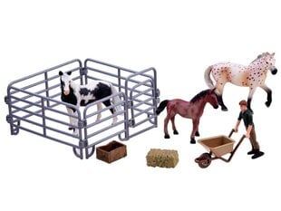 Hobusekujude komplekt B hind ja info | Poiste mänguasjad | kaup24.ee