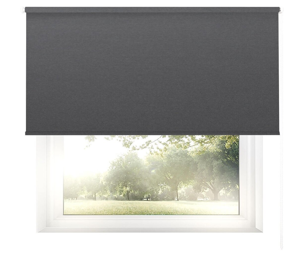 Valguskindel seinapealne ruloo Blackout 100x170 cm, pg-04 hall hind ja info | Rulood | kaup24.ee