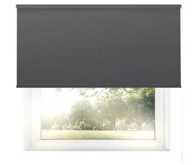 Valguskindel seinapealne ruloo Blackout 140x170 cm, pg-04 hall hind ja info | Rulood | kaup24.ee