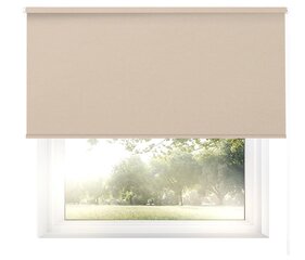 Valguskindel seinapealne ruloo Blackout 100x170 cm, pg-12 beež цена и информация | Рулонные шторы | kaup24.ee