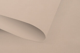Valguskindel seinapealne ruloo Blackout 150x170 cm, pg-12 beež hind ja info | Rulood | kaup24.ee