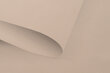 Valguskindel seinapealne ruloo Blackout 150x170 cm, pg-12 beež цена и информация | Rulood | kaup24.ee