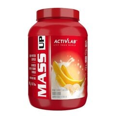 ActivLab Mass Up, ванильный вкус, 2 кг цена и информация | Добавки и препараты для набора мышечной массы | kaup24.ee