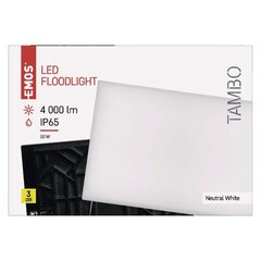 LED prožektor TAMBO 50W(430W) 4000 lm NW цена и информация | Уличное освещение | kaup24.ee