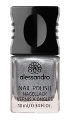 Лак для ногтей Alessandro Nail Polish Silver, 10 мл цена и информация | Лаки для ногтей, укрепители для ногтей | kaup24.ee
