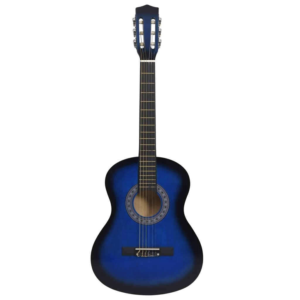 vidaXL 8-osaline kitarrikomplekt lastele ja algajatele, sinine 3/4 36" hind ja info | Kitarrid | kaup24.ee