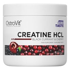 Toidulisand OstroVit Creatine HCL, 300 g hind ja info | Kreatiin | kaup24.ee