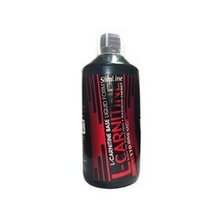 Toidulisand Megabol L-Carnitine, 1000 ml hind ja info | L-karnitiin | kaup24.ee