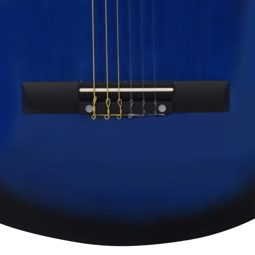 vidaXL klassikaline kitarr algajatele kotiga, sinine 3/4 36" hind ja info | Kitarrid | kaup24.ee