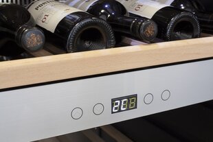 Caso WineSafe 192 цена и информация | Винные холодильники | kaup24.ee