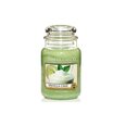 Ароматическая свеча Yankee Candle Vanilla Lime 623 г