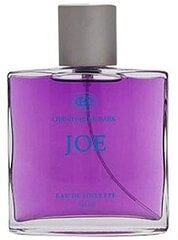 Tualettvesi Christopher Dark Joe EDT meestele, 100 ml hind ja info | Meeste parfüümid | kaup24.ee