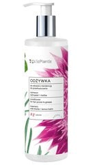 Palsam rasustele juustele Vis Plantis Rozmaryn & Ostropest, 400 ml цена и информация | Бальзамы, кондиционеры | kaup24.ee