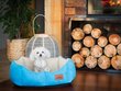 Koera pesa Hobbydog New York Premium, M, Sky Blue, 53x45 cm hind ja info | Pesad, padjad | kaup24.ee