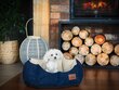 Koera pesa Hobbydog New York Premium, M, Dark Blue, 53x45 cm цена и информация | Pesad, padjad | kaup24.ee