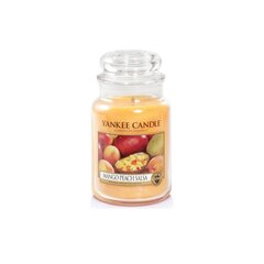 Aromaatne küünal Yankee Candle Mango Peach Salsa 623 g hind ja info | Küünlad, küünlajalad | kaup24.ee