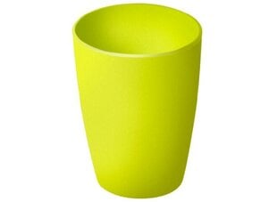 Plastikust tass Rotho CARUBA, 0.25l, roheline цена и информация | Стаканы, фужеры, кувшины | kaup24.ee