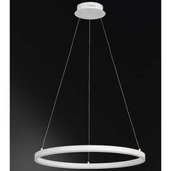 LED-laelamp Wofi Vaasa 60 x 150 cm, valge цена и информация | Люстры | kaup24.ee