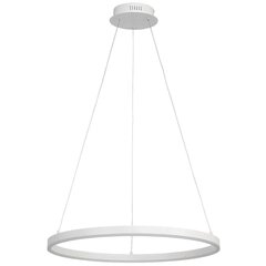 LED-laelamp Wofi Vaasa 60 x 150 cm, valge цена и информация | Люстры | kaup24.ee