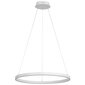 LED-laelamp Wofi Vaasa 60 x 150 cm, valge цена и информация | Rippvalgustid | kaup24.ee