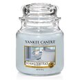 Lõhnaküünal Yankee Candle A Calm & Quiet Place, 623 g