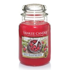 Lõhnaküünal Yankee Candle Red Raspberry 623 g hind ja info | Küünlad, küünlajalad | kaup24.ee