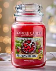 Lõhnaküünal Yankee Candle Red Raspberry 623 g hind ja info | Küünlad, küünlajalad | kaup24.ee