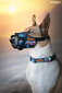 Amiplay reguleeritav kaelarihm Adventure Moro, L, 35-50x2 cm hind ja info | Kaelarihmad ja traksid koertele | kaup24.ee