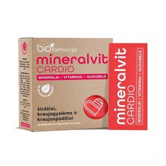 Maisto papildas mineralvit CARDIO, 1 x 20 x 3 g цена и информация | Витамины, пищевые добавки, препараты для хорошего самочувствия | kaup24.ee