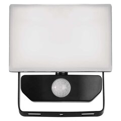 LED-prožektor TAMBO 10W(85W) 800 lm NW, liikumisanduriga цена и информация | Фонарики, прожекторы | kaup24.ee