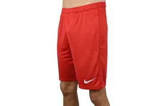 Meeste lühikesed püksid Nike Park II Knit, punane hind ja info | Meeste lühikesed püksid | kaup24.ee