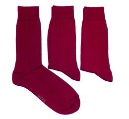 Мужские носки (три пары в упаковке) цена и информация | Мужские носки | kaup24.ee