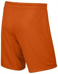 Nike шорты для мужчин Park II M, оранжевые цена и информация | Мужские шорты | kaup24.ee