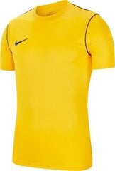 Мужская футболка Nike Dry Park 20 Top SS M, желтая цена и информация | Meeste T-särgid | kaup24.ee