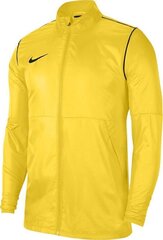 Poiste dressipluus Nike, kollane цена и информация | Свитеры, жилетки, пиджаки для мальчиков | kaup24.ee