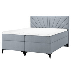 Кровать Selsey Tomene, 160x200 см, серая цена и информация | Кровати | kaup24.ee