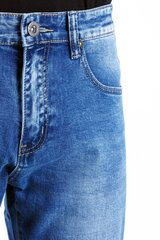 Джинсы EVIN цена и информация | Мужские джинсы | kaup24.ee