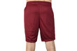 Meeste lühikesed püksid Nike Park II M, punane hind ja info | Meeste lühikesed püksid | kaup24.ee