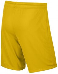 Meeste lühikesed püksid Nike Park II M, kollane hind ja info | Meeste lühikesed püksid | kaup24.ee