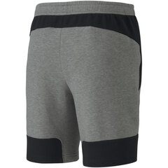 Meeste vabaaja lühikesed püksid Puma Evostripe Shorts 8" Medium Gray Heather - 58148703, hall цена и информация | Мужские шорты | kaup24.ee