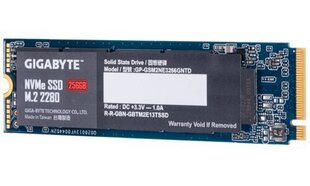Gigabyte GP-GSM2NE3256GNTD цена и информация | Внутренние жёсткие диски (HDD, SSD, Hybrid) | kaup24.ee