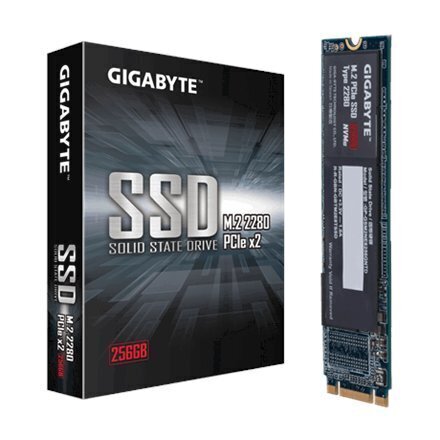 Gigabyte GP-GSM2NE3256GNTD hind ja info | Sisemised kõvakettad (HDD, SSD, Hybrid) | kaup24.ee