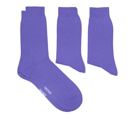Мужские носки (три пары в упаковке) цена и информация | Meeste sokid | kaup24.ee